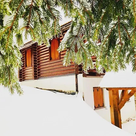 Orman Evi Pine