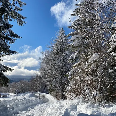 Orman Evi Pine *