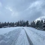 Pine